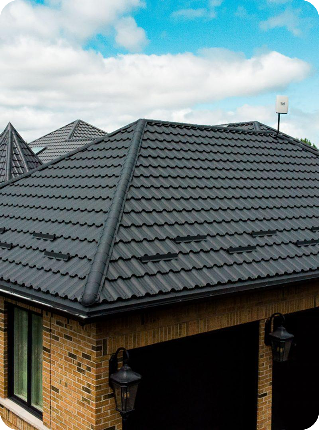 Proiect finalizat Alpina 5